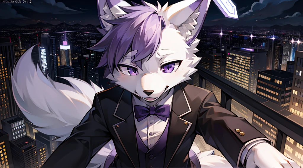 (furry art, uploaded on e621:1.4), (masterpiece:1.3), (best quality:1.2),(2D:1.0), (anime:1.0), (illustration:1.0), (sharp:1.2), (light_environment), (city), (clear, shiny:0.8), (impasto:1.1), (ultra-detailed:1.0) (1boy, solo), white and purple, (anthro furry:1.6), (anthro_male_wolf:1.2), (white and purple fur:1.6), tuxedo, long pants, pov from below, purple eyes