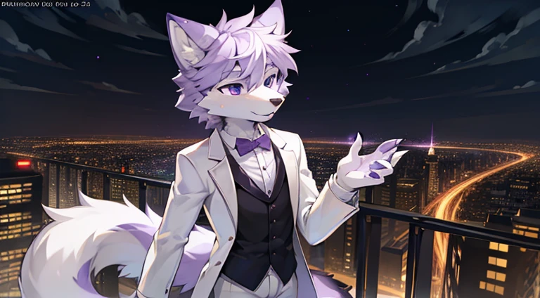 (furry art, uploaded on e621:1.4), (masterpiece:1.3), (best quality:1.2),(2D:1.0), (anime:1.0), (illustration:1.0), (sharp:1.2), (light_environment), (city), (clear, shiny:0.8), (impasto:1.1), (ultra-detailed:1.0) (1boy, solo), white and purple, (anthro furry:1.6), (anthro_male_wolf:1.2), (white and purple fur:1.6), tuxedo, long pants, pov from below, purple eyes, full body view