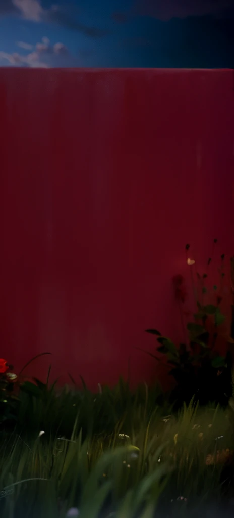 Red wall on green grass