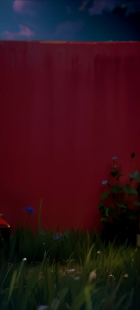 Red wall on green grass