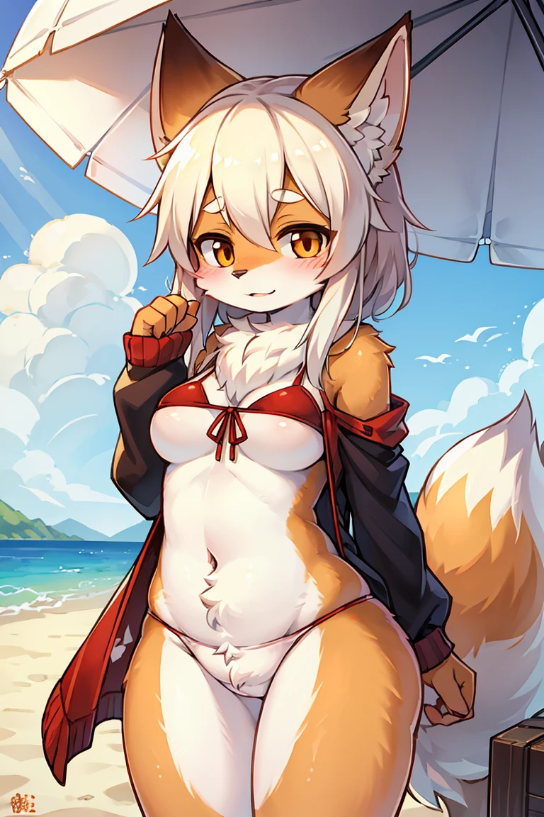 Female hairy,White fur,red fox,sandbeach,比基尼,Very shy,lookingat,soio,Fall