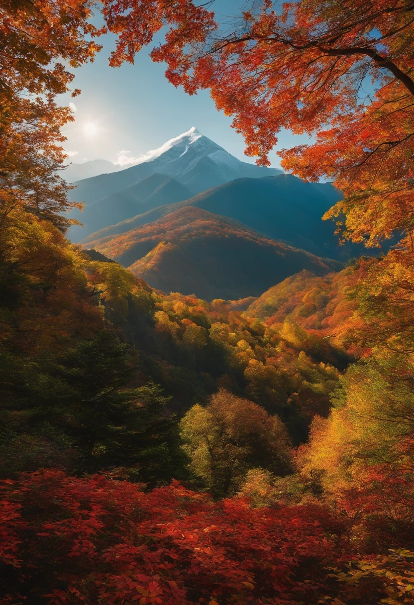unknown mountain、Mysterious mountain、Mysterious mountain、suspicious mountain、Seven colored autumn leaves、Shining autumn leaves、Beautiful autumn leaves、Beautiful mountains