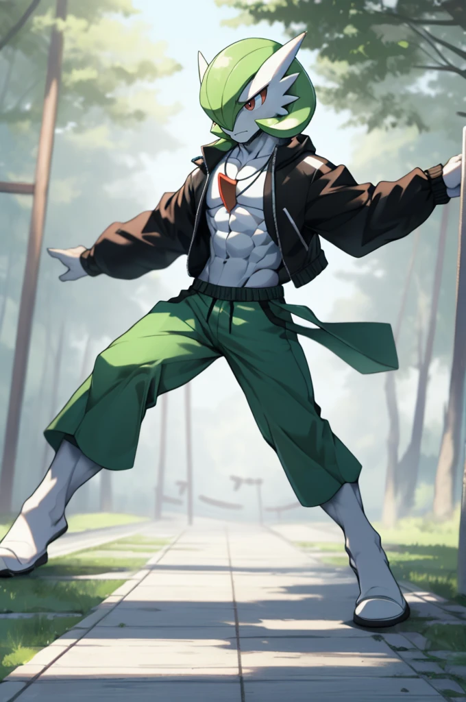 masterpiece, best quality, full body, Solo, male focus, (androgynous), furry, pectorals, pectoral cleavage, muscular, ((Gardevoir)), ((pokemon)), (crop jacket), (tai chi),