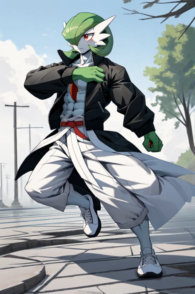 masterpiece, best quality, full body, Solo, male focus, (androgynous), furry, pectorals, pectoral cleavage, muscular, ((Gardevoir)), ((pokemon)), (crop jacket), (tai chi),