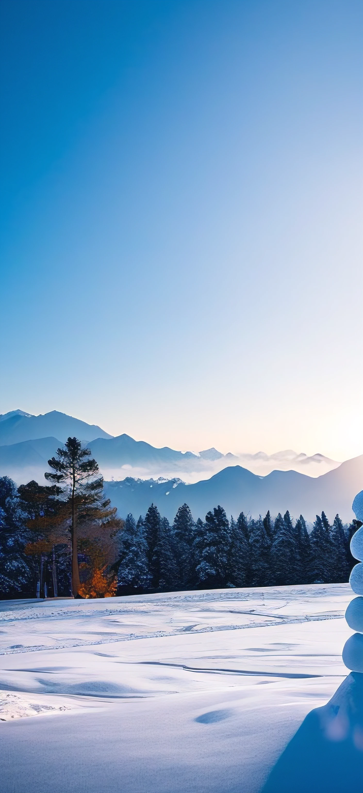 There is a Chinese-style white building in the distance,There is a mountain behind the tree, at winter season, Faraway view, of the tree,light snow season,Detailed landscapes,natural morning light,There is snow on the roof in winter,high high quality,A high resolution。