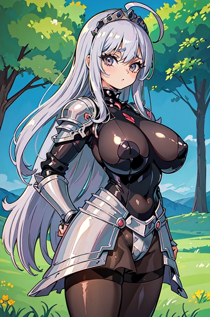 "(masterpiece:1.1), best quality, NSFW,
1girl, (80s anime style:1.3), (eyelashes:1.5), (:1.2),
(intricate high detailed body:1.2),
(silver hair:1.1), (bangs:1.1), (long hair, straight hair:1.1), (tiara:1.2),
brown eyes, (thick eyebrows:1.1),
(gigantic breasts:1.6),
(naughty face:1.2),
(see-through cloth body suit armor:1.2), (pantyhose:1.2),
(spiked knight armor, armored boots:1.2), (ahoge:1.2), collar,
standing, hand on hip,
(upper body, cowboy shot, looking at viewer, from front:1.1),
(daytime, grassland, outdoors:1.2)"