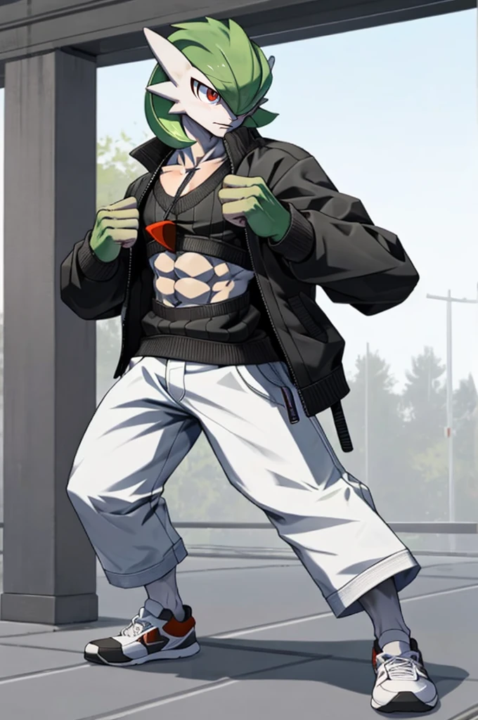 masterpiece, best quality, full body, Solo, male focus, (androgynous), furry, pectorals, pectoral cleavage, muscular, ((Gardevoir)), ((pokemon)), (crop jacket), (sweater crop top), (tai chi),