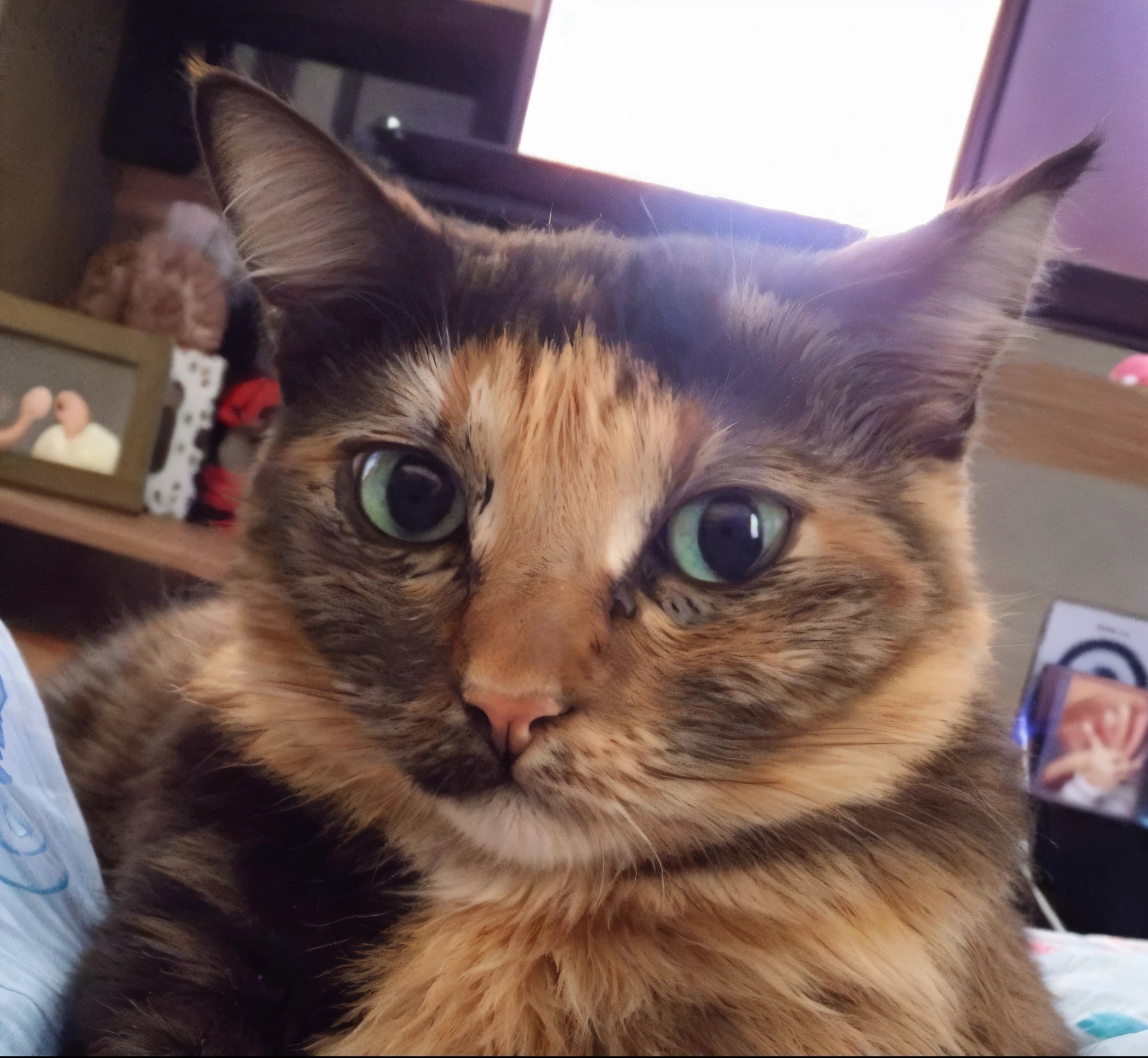 felino, ultra realista, muito detalhada, pelos macios, muito realista, imagem ultra HD, qualidade, olhos azuis, gato, felino, muito realista, pelo macio, detalhes insanos