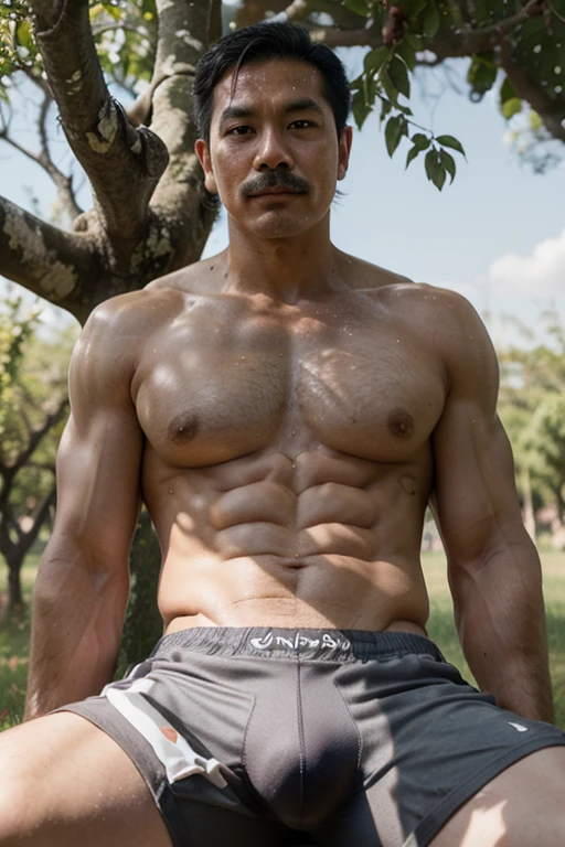 A young Thai father with gray hair, a gray mustache, a muscular body, bulging crotch and sweat, sits in an orchard.