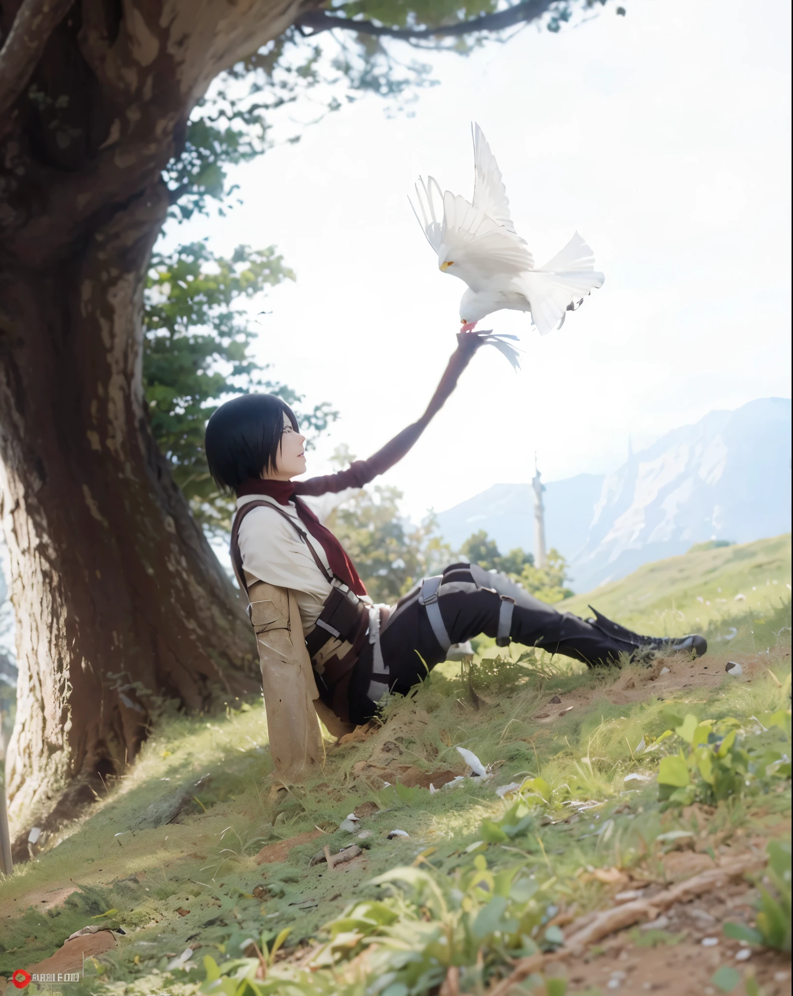 ((Mikasa Ackerman_attack on Titan)),((realistic, photorealistic)),(highlight hair)), Light reflection, (( HD )), navel, detached sleeves,((upper body)), (((best quality, masterpiece))), Look up, In the afternoon, behind a big tree, a white bird pulled a red cloth,Beside the tombstone,,