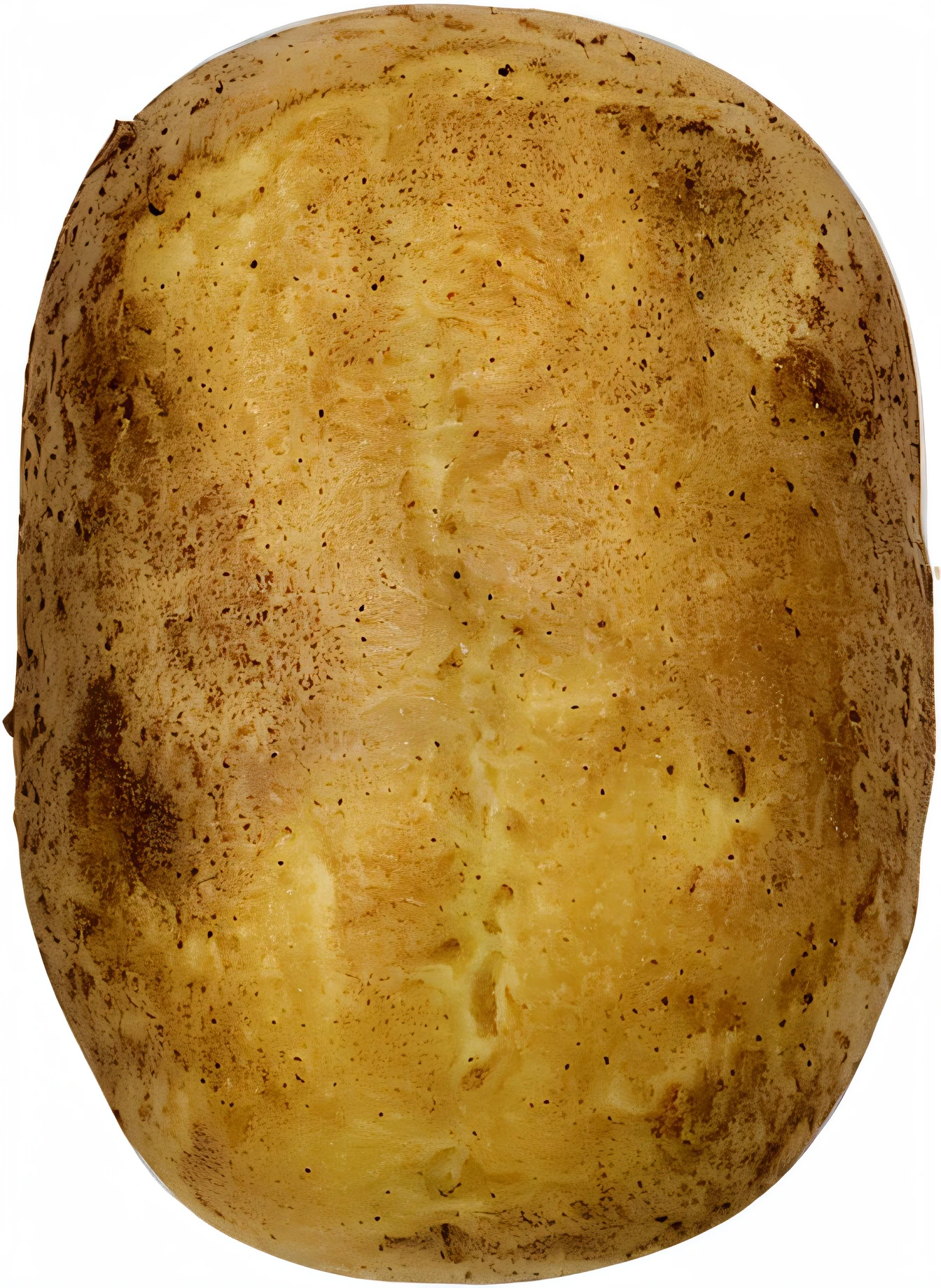 potatoes,Illustration style,Design materials,high-definition picture quality,potato bread