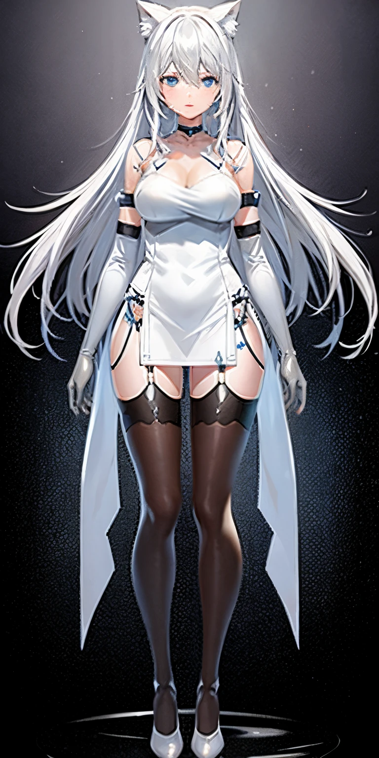 One in a white dress、Anime character of woman with cat ears, Cute anime waifu wearing nice clothes, White dress!! silber hair, azur lane style, Translucent liquid comes from《Azure route》videogame, in dress, 《Azure route》人物, from girls, clear outfit design, Anime full body illustration, white-haired god, Official character art