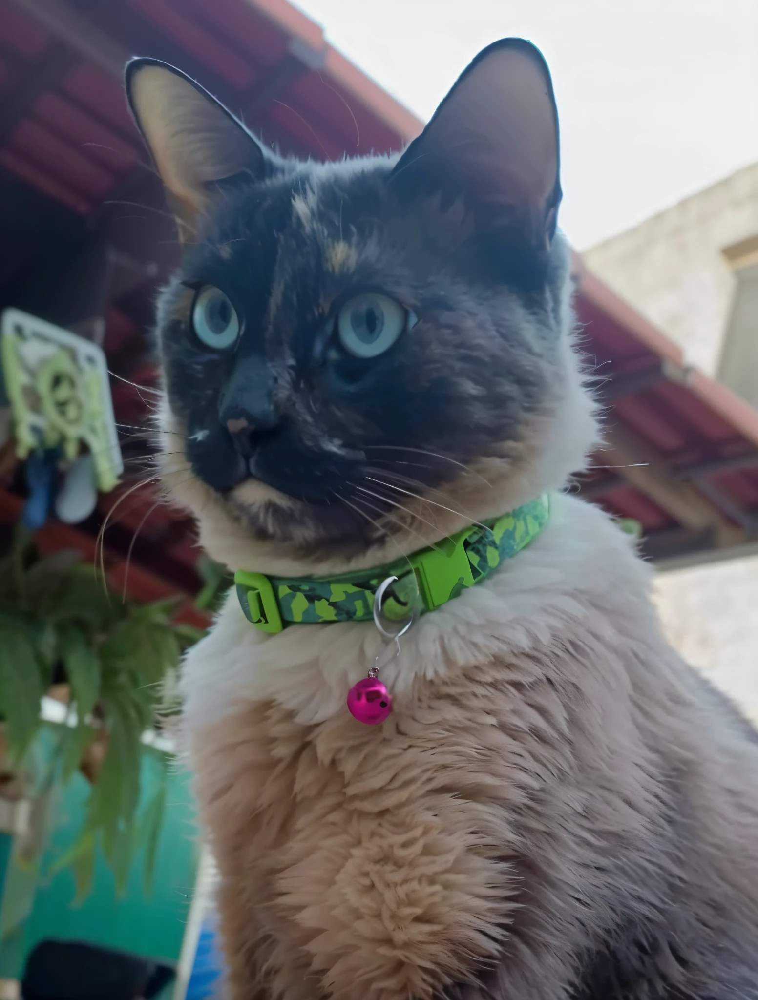 felino, ultra realista, muito detalhada, pelos macios, muito realista, imagem ultra HD, qualidade, olhos azuis, gato, felino, muito realista, pelo macio, detalhes insanos