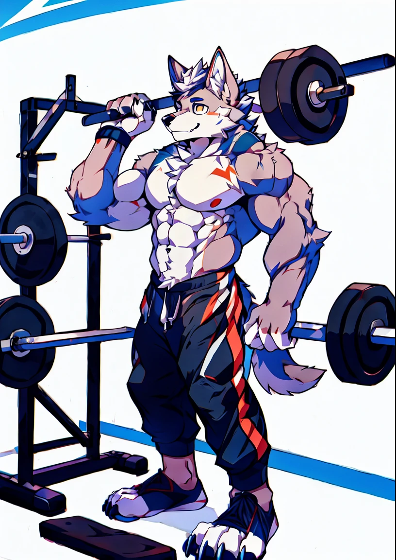 Human-wolf，Muscular，Full Body Furry，paws with claws，pass upright，Working out in a gym，The upper body is naked，Short sweatpants