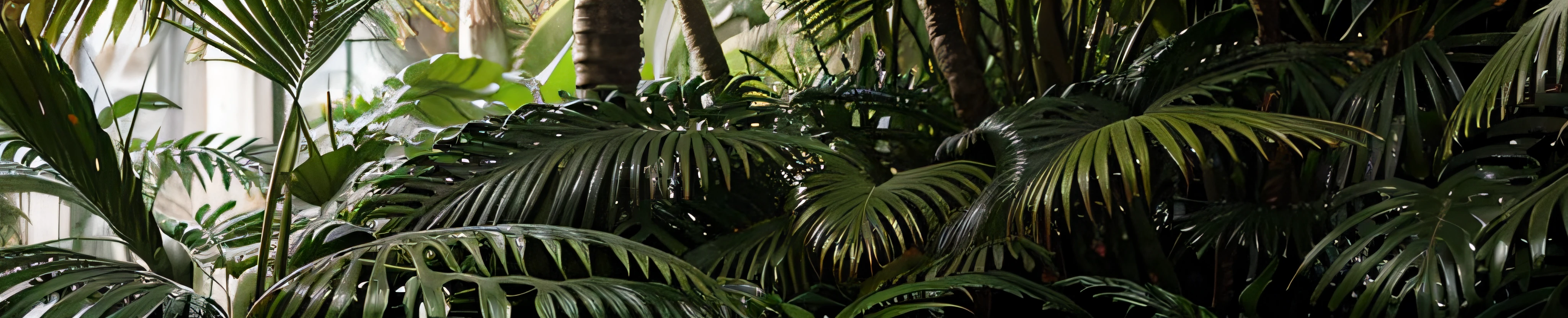 Uma estufa com uma planta ao fundo, entre folhagens, amidst nature, ao lado de uma planta, Condado de Rex Orange, coberto de plantas, em uma selva, next to some alien plants, em um jardim cyberpunk, em um planeta de folhagem exuberante mais verde claro