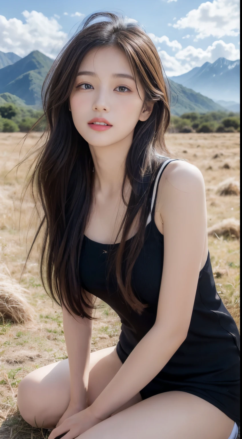 ((best quality, 8k, masterpiece:1.3)), a beautiful girl, pure, melon face, gentle and cute, thin figure, (frontal), (tilted head), looking directly into the camera, [detached sleeves::0], [collared shirt::0], [capri pants::0], black silky long straight hair, long hair flowing over the shoulders, round black big eyes, clear big eyes, moist red lips, sweet smile, sitting, hands on knees, Blue sky and white clouds, sunshine, grassland, mountain peaks, northern view of Tibetan grassland