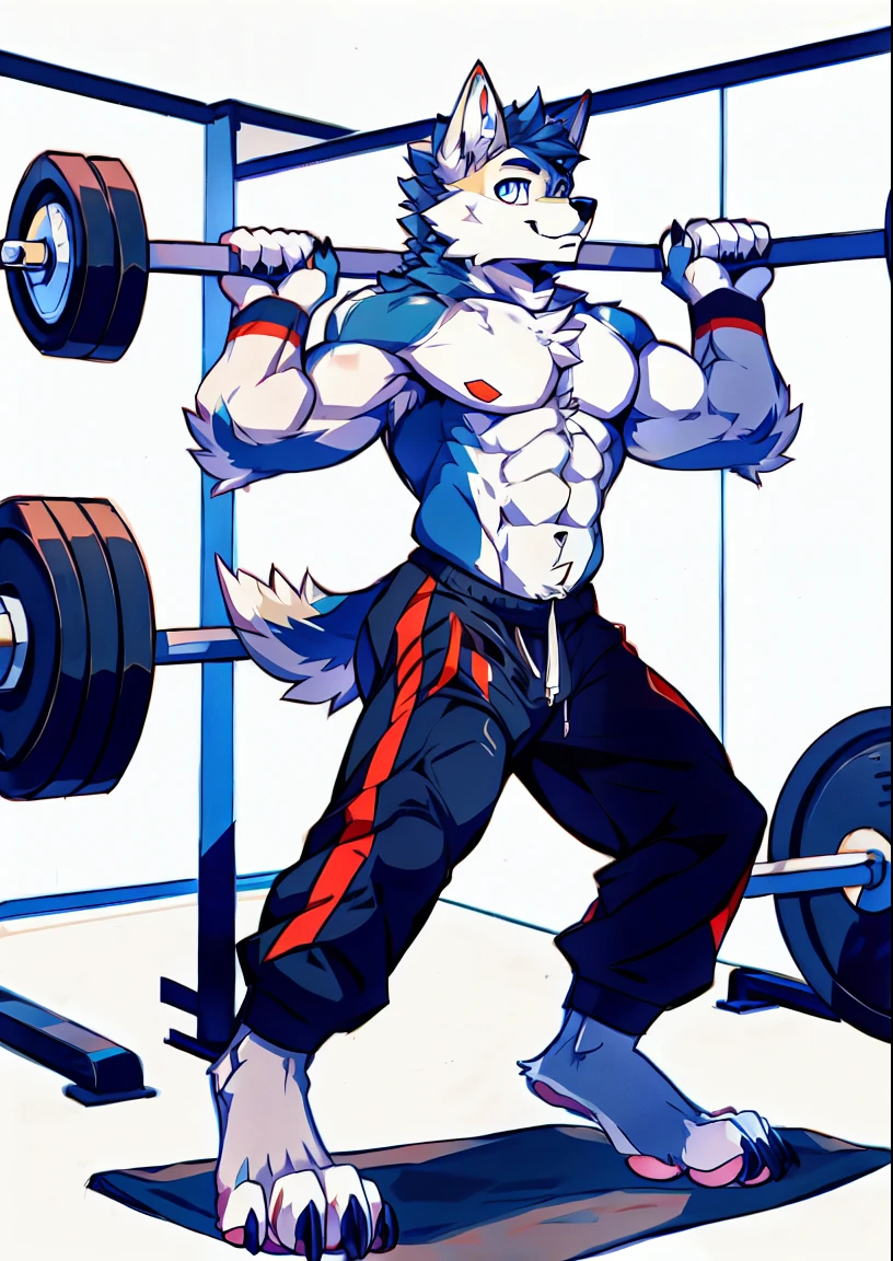 Human-wolf,musculouull Body Furry,paws with claws,pass upright,The upper body naked,Short sweatpants,Working out