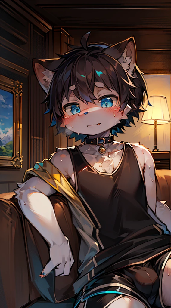 (Bright environment:0.8),masterpiece,high quality,abstract res,digital painting\(artwork\), by dagasi,cuihongshi, yupa,kiyosan,(anthro,fluffy fur,character focus:1.1),anthro male cat,short hair,portrait , eyes with brightness, in a panoramic view, Character focus.(detailedbackground:0.7), solo person, shaggy, shaggy male, malefocus, anthr,(Full Body Furry, Fluffy tail, White fur, Blue eyes, black color hair:1.2), (long canines、White sports vest、sweat shorts、Collar、perspire、Enchanted look：1.2），（interiors、at noon、liveroom、on a sofa：1.1）