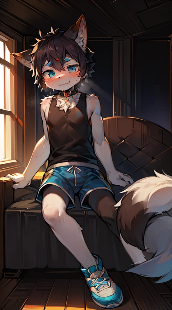 (Bright environment:0.8),masterpiece,high quality,abstract res,digital painting\(artwork\), by dagasi,cuihongshi, yupa,kiyosan,(anthro,fluffy fur,character focus:1.1),anthro male cat,short hair,portrait , eyes with brightness, in a panoramic view, Character focus.(detailedbackground:0.7), solo person, shaggy, shaggy male, malefocus, anthr,(Full Body Furry, Fluffy tail, White fur, blue color eyes, black color hair、There is a blue highlight on the forehead:1.2), (long canines、White sports vest、sweat shorts、Collar、perspire、athletic sneakers、Teasing expressions:1.2),(interiors、at noon、liveroom、on a sofa:1.1)