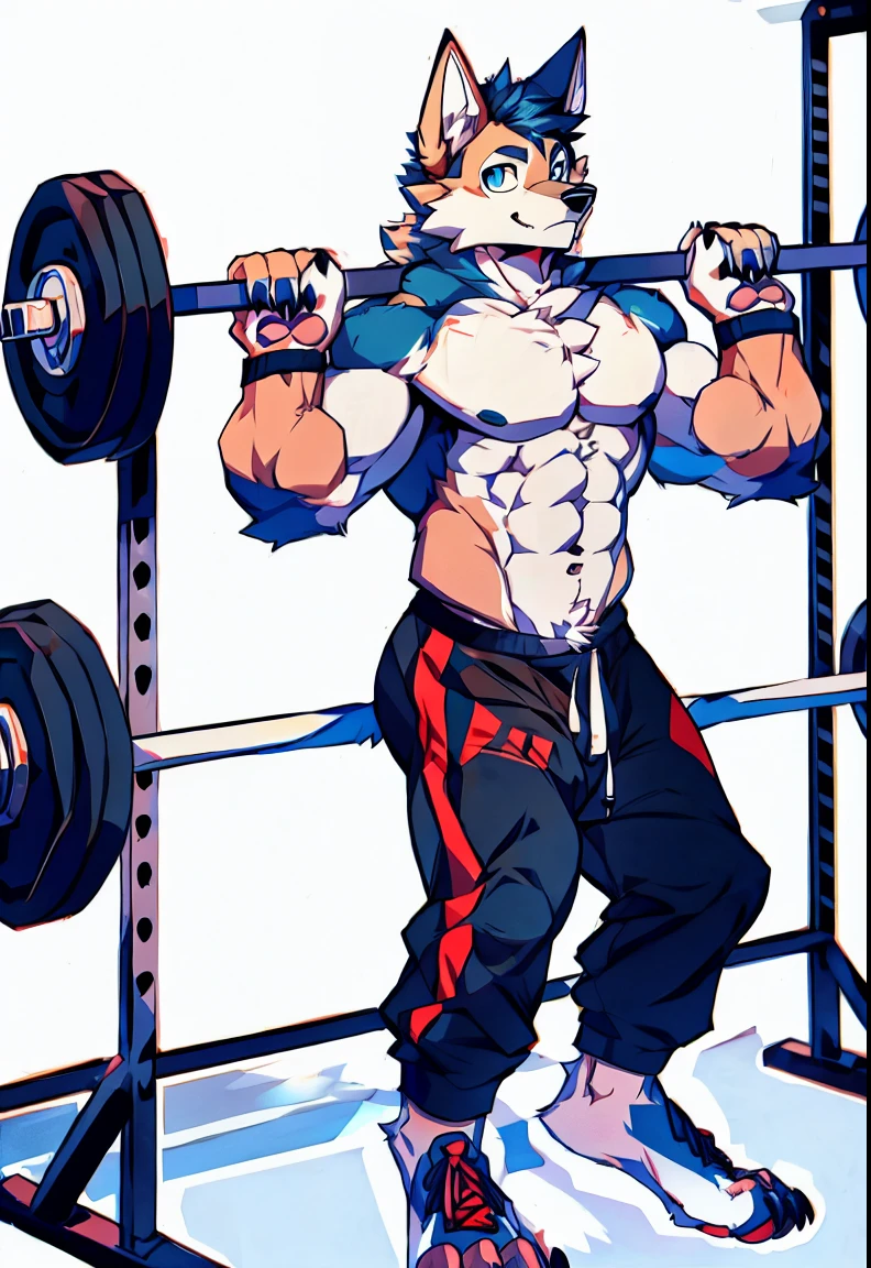 Human-wolf，Muscular，Full Body Furry，paws with claws，pass upright，Working out in a gym，The upper body is naked，Short sweatpants