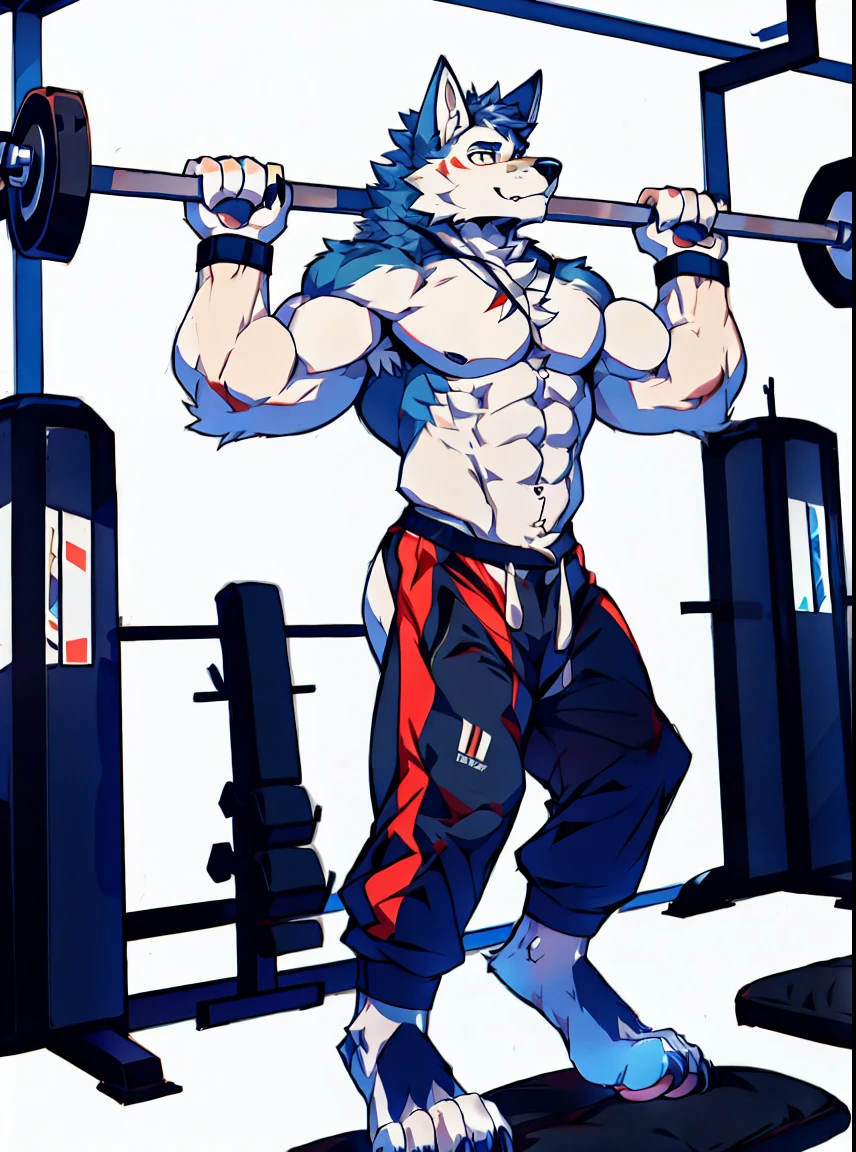 Human-wolf,Muscular,Full Body Furry,paws with claws,pass upright,Working out in a gym,The upper body is naked,Short sweatpants