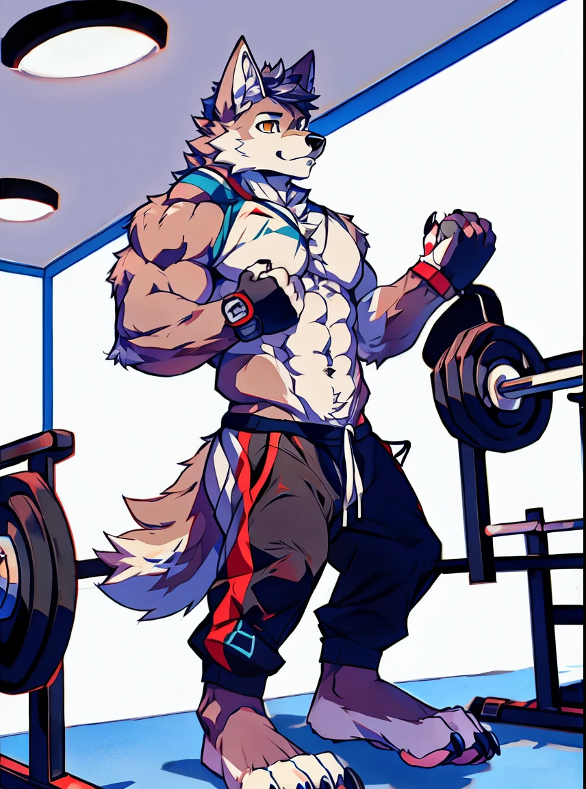 Human-wolf，Muscular，Full Body Furry，paws with claws，pass upright，Working out in a gym，The upper body is naked，Short sweatpants