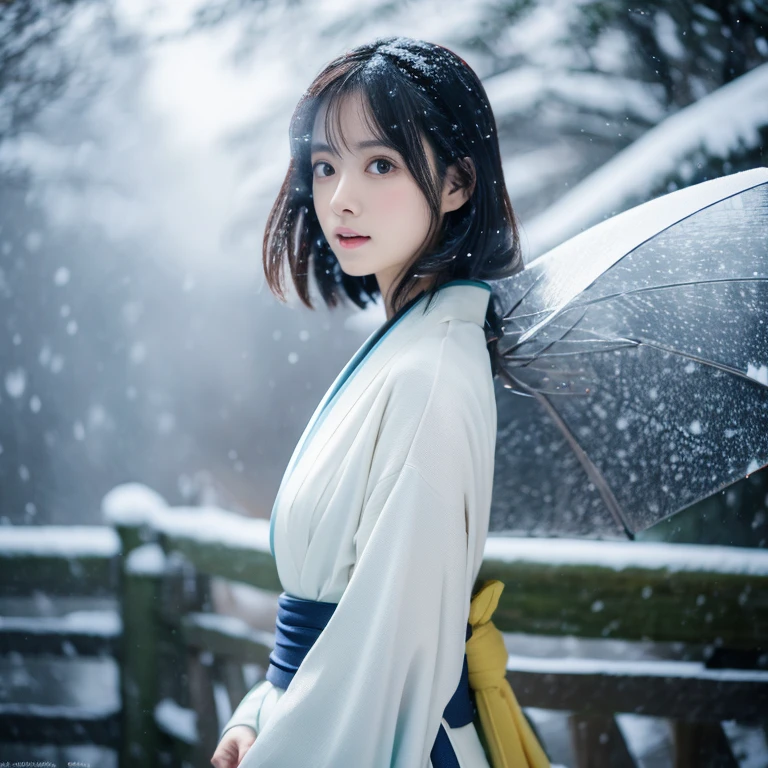 (Thin kimono)、、(top-quality,masterpiece:1.3,超A high resolution,),(ultra-detailliert,Caustics),(Photorealsitic:1.4,RAW shooting,)Ultra-realistic capture,A highly detailed,high-definition16Kfor human skin、 Skin texture is natural、、The skin looks healthy with an even tone、 Use natural light and color,One Woman,japanes,,kawaii,A dark-haired,(depth of fields、chromatic abberation、、Wide range of lighting、Natural Shading、)、、(Falling snow:1.2)、(Hair swaying in the wind:1.2)、(Snow reflects light:1.2)、Back lighting(Smooth hair that reaches down to your waist)(Full body composition)Perfect and big eyes、美丽的面容