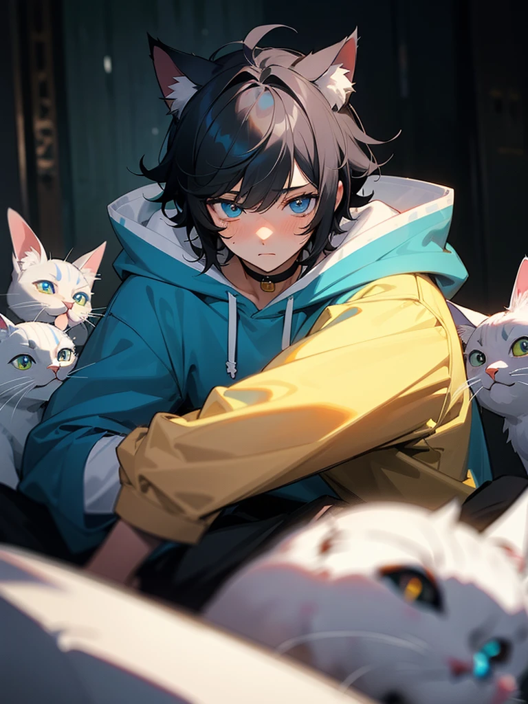 1 teen boy, scruffy hair, bangs, black hair, blue eyes, perfect eyes, detailed eyes, shy look, cute look, wearing loose hoodie, slightly blushed, no hands, highly detailed, cat ears, looking at viewer, cats in background, surrounded by cats