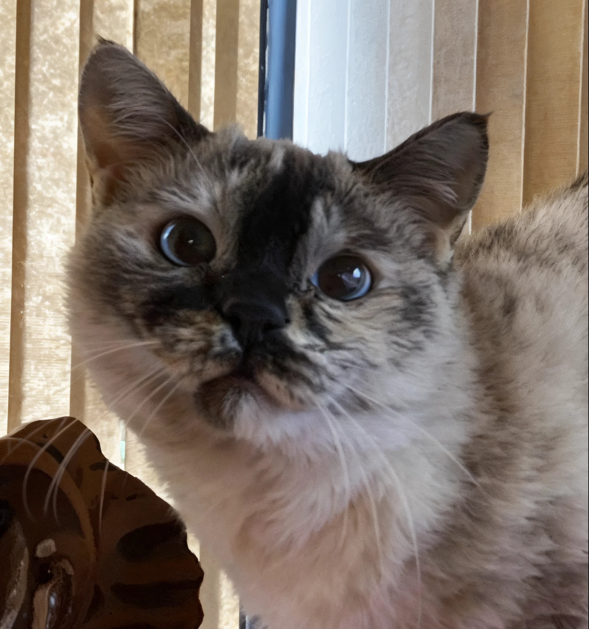 felino, ultra realista, muito detalhada, pelos macios, muito realista, imagem ultra HD, qualidade, olhos azuis, gato, felino, muito realista, pelo macio, detalhes insanos