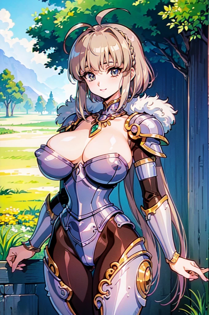 "(masterpiece:1.1), best quality, , 
1girl, (80s anime style:1.3), (eyelashes:1.5), (loli:1.2), 
(intricate high detailed body:1.2), 
(brown hair:1.1), (blunt bangs:1.1), (long hair, french braid:1.1), 
green eyes, (lip stick:1.3), 
(pale skin:1.3), (muscular body:1.1), (:1.5), 
(light smile:1.2), 
(silver embroidery leotard armor, corset:1.2), (pantyhose:1.2), 
(spiked knight armor, armored boots:1.2), (fur:1.1), (ahoge:1.2), crystal necklace, 
standing, 
(upper body, cowboy shot, looking at viewer, from front:1.1),
(daytime, grassland, outdoors:1.2)"
