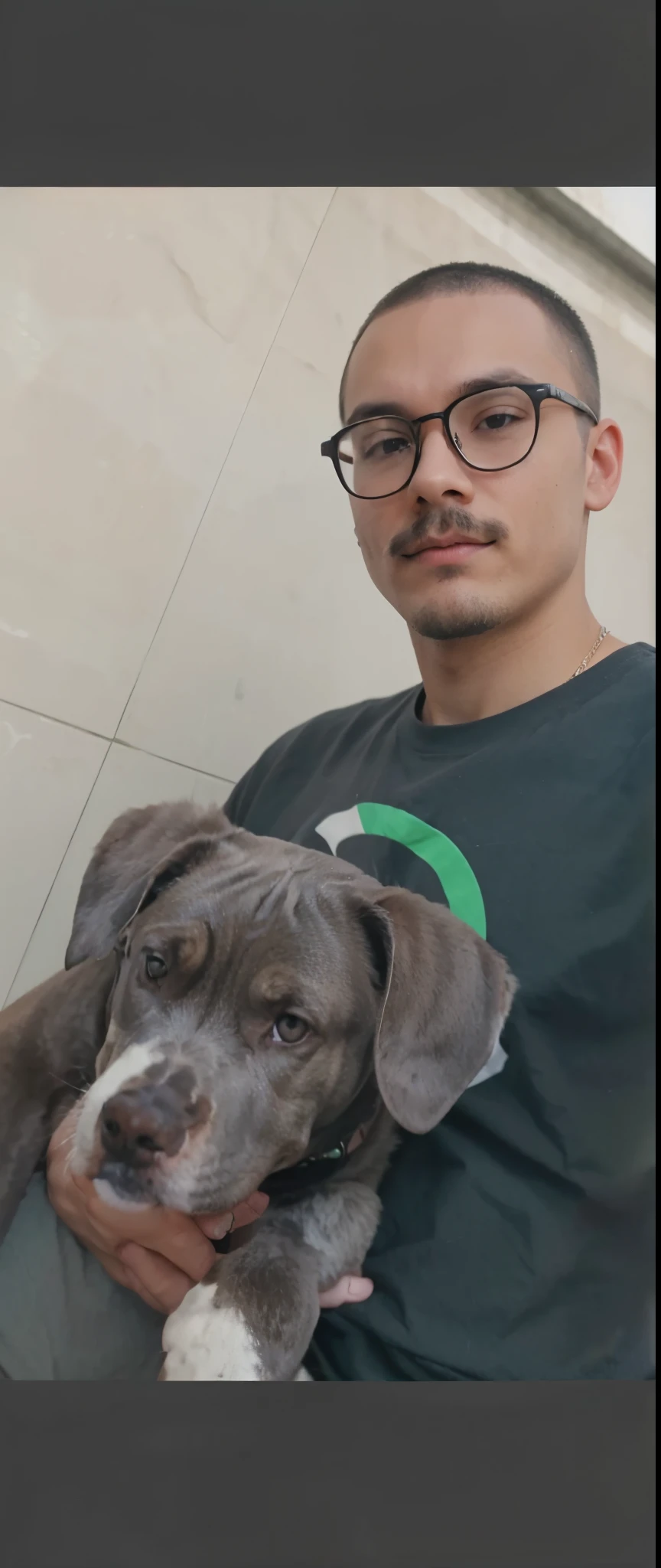 Young man with glasses and mustache holding a gray Pit Bull neutral image background