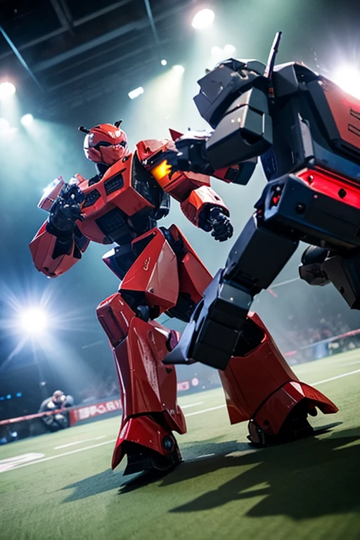 Fighting Robots