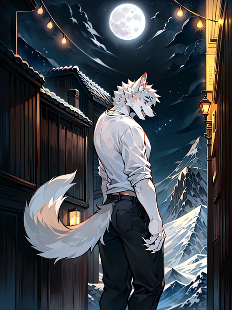 A pair of handsome men hugging each other looked at each other affectionately. Look at each other lovingly,4K high resolution, Best quality, Masterpiece, perfect colors, perfectly shaded, Perfect lighting, Furry, anthro, Furry art, Male wolf, gray wolf, (two-toned fur), hairy bodies, Blue eyes, (Seductive look:1.2), fit body, perfect male figure, Wear men's shorts,Abs,musculature,Detailed fur, Detailed face, Perfect face, (The stands up), Detailed background, ((Bonifasko lighting)), Wolf tail, (Detailed eyes), perfect pupils,full bodyesbian,Warm picture,The setting is evening at night