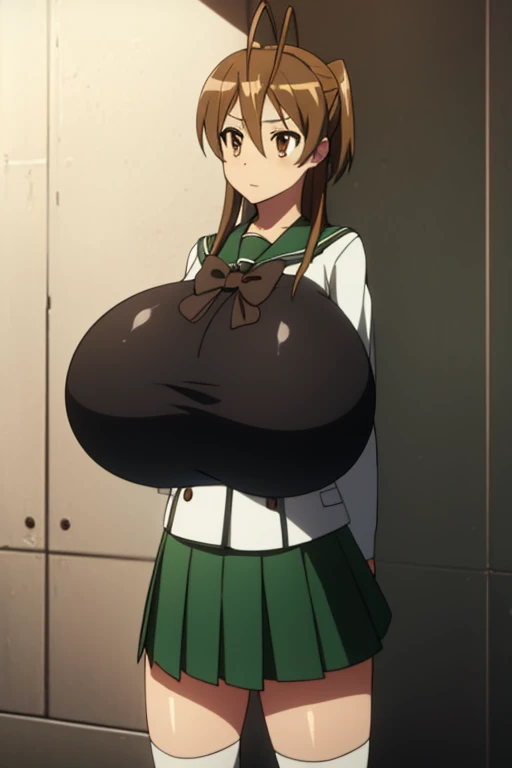 reimiyamoto, rei miyamoto, long hair, brown hair, (brown eyes:1.5), antenna hair, ponytail,
BREAK skirt, thighhighs, school uniform, serafuku, zettai ryouiki, green skirt, bowtie, long sleeves, black thighhighs, black bowtie,
BREAK looking at viewer,
BREAK indoors, classroom,
BREAK (masterpiece:1.2), best quality, high resolution, unity 8k wallpaper, (illustration:0.8), (beautiful detailed eyes:1.6), extremely detailed face, perfect lighting, extremely detailed CG, (perfect hands, perfect anatomy), (large breasts:1.6)