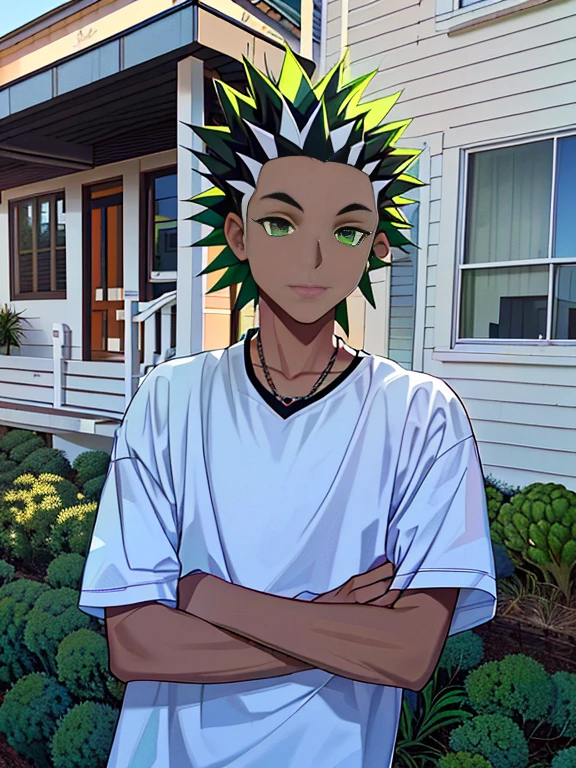 arafed young boy with green mohawk standing in front of a house, boy has short black hair, with a mohawk, by Wayne England, tyler, by Matt Cavotta, with broccoli hair, checkered spiked hair, by Josh Bayer, by John Luke, by Matthew Smith, by Daniel Taylor