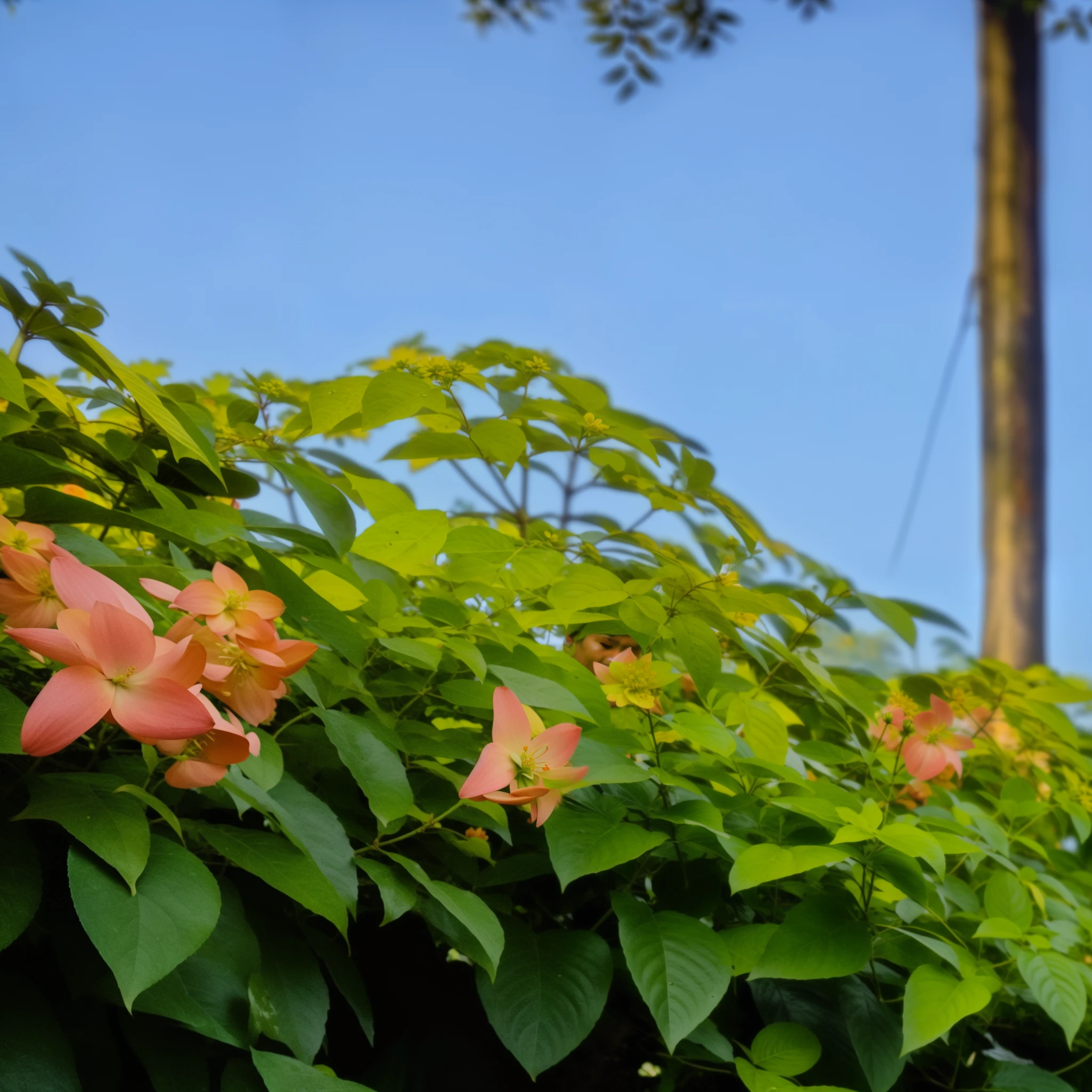 there is a man standing on a road with flowers in the background, in front of a forest background, amidst nature, in a park, assamese aesthetic, candid picture, in a scenic background, with lovely look, at a park, full body photogenic shot, photo taken with canon 5d, taken with sony alpha 9, shot on nikon z9