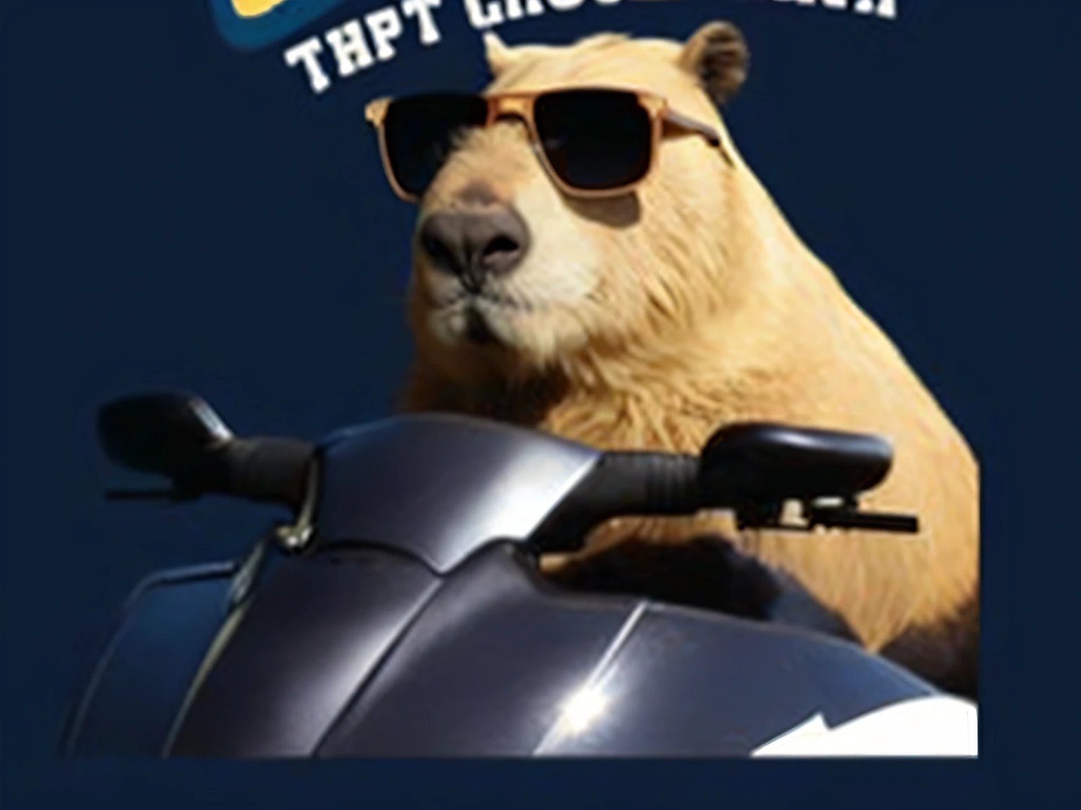 there is a bear that is wearing sunglasses on a motorcycle, capybara pirate, tardigrade wearing sunglasses, capybara, ( bear wearing sunglasses, capybaras in tokyo, giga chad capaybara, looking heckin cool and stylish, thug life, bigfoot wearing sunglasses, llama all the way, poster, anthropomorphic beaver