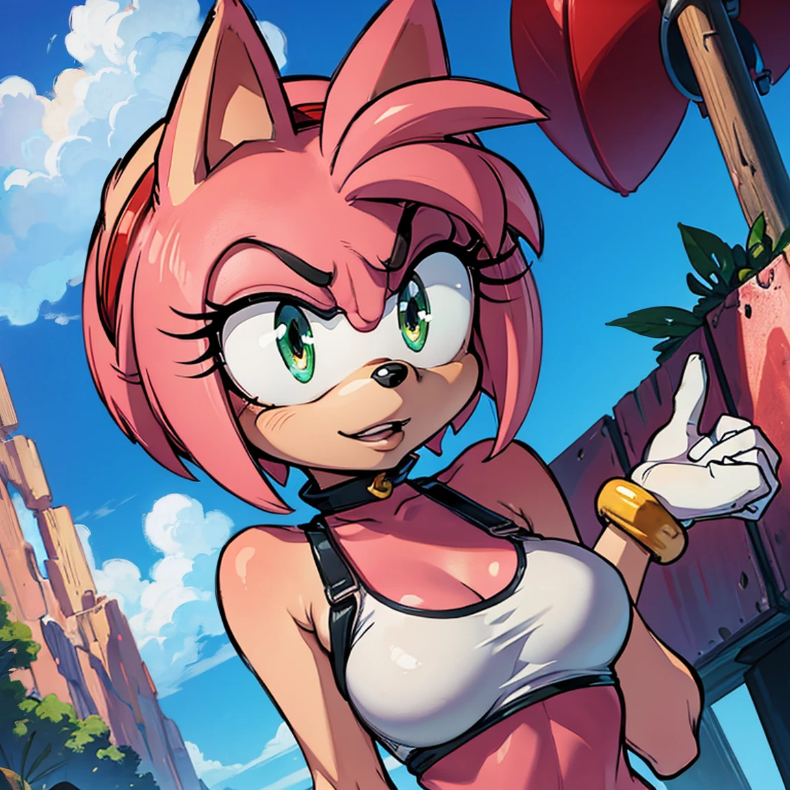 Personaje amy rose de sonic NSFW desnuda