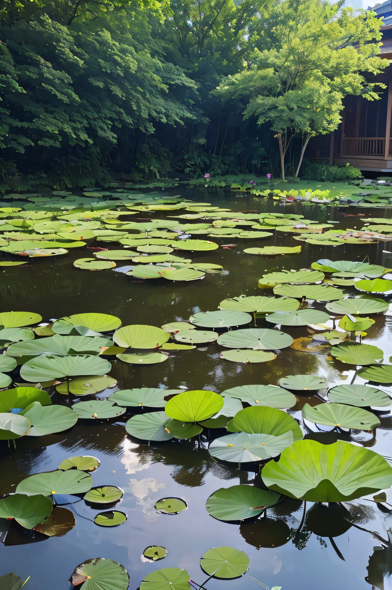 The meandering lotus pond above,What catches the eye are the leaves of the fields。High leaf yield。in the middle of the leaves,Scattered white flowers,Open,You Duo'er's shy beating;like a pearl,Another example is the stars in the blue sky。A gentle breeze passed by,Send wisps of fragrance,There seems to be faint singing coming from the tall buildings in the distance。By this time, The leaves and flowers also tremble,Like lightning,instantly, It passes by the lotus pond。The leaves were originally close together, shoulder to shoulder,it's like a blue wave。Under the leaves are veins of water,Covered with,Some colors cannot be seen;And the leaves are blown by the wind。