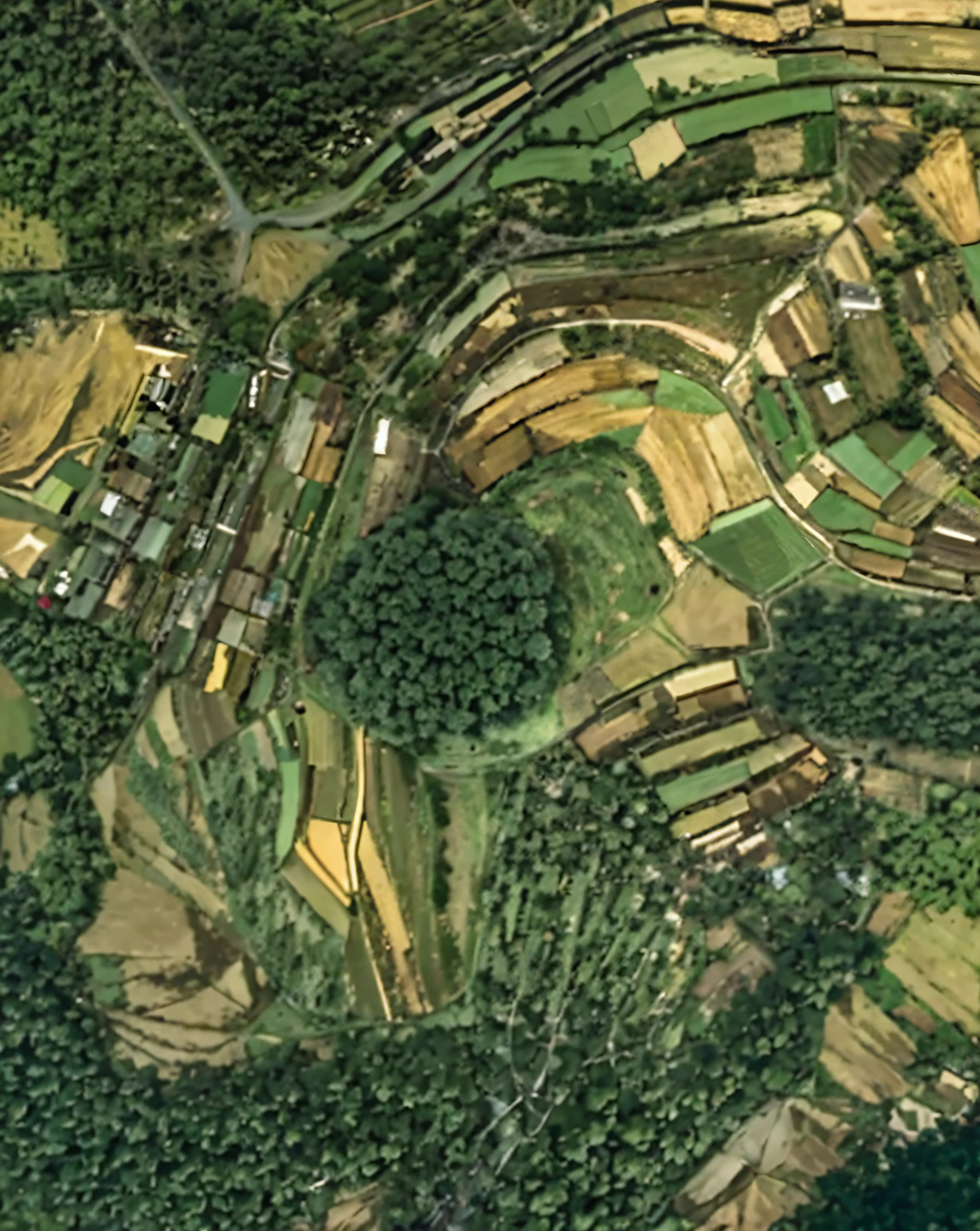 HD camera taking pictures of earth,great clarity,Exquisite,There is farmland,ln the forest,There is a roof,Ultra HD pixels,Camera shooting effect,Oh really,Clear public areas,Ultra-high pixel