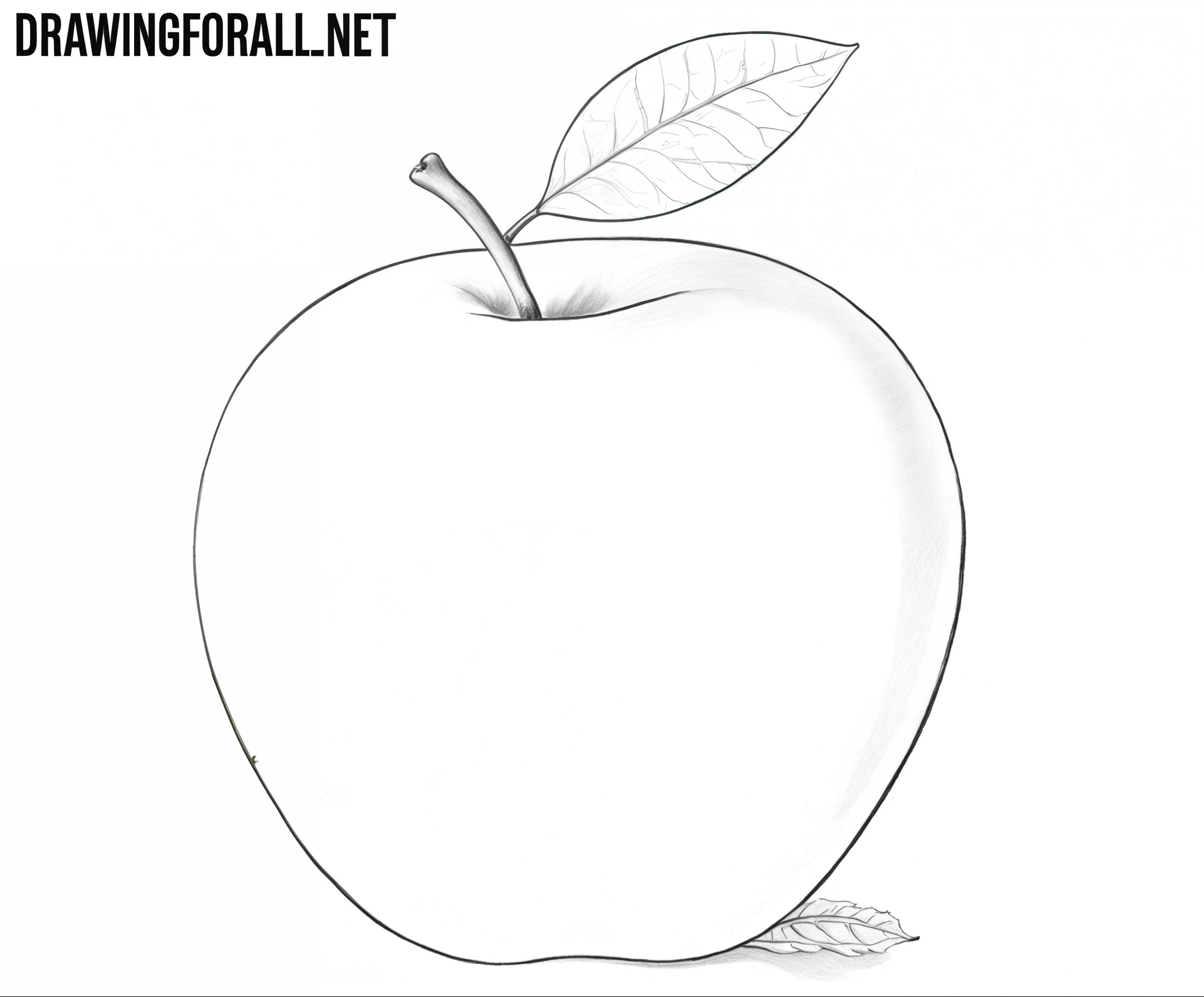 drawing an apple with a leaf on top of it,