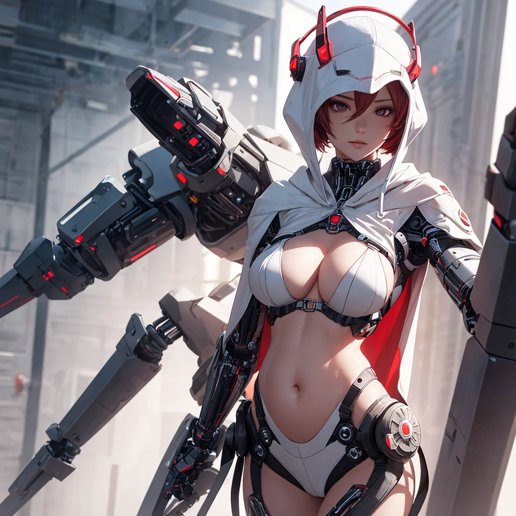 A cybernetic woman, with a perfect sculptural whole body, realistic, belly appearing, (large and perfect breasts), neckline, 3d, with hood on the head and a cape, and a red visor in the right eye, anime style 3d, ultra realistic, HD