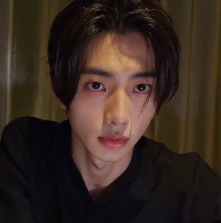 hay un hombre con una camisa negra mirando algo, Cai Xukun, 1 7 years - child of thin face age, inspirado por Zhang Han, handsome japanese demon boy, Heise Jinyao, young wan angel, Jinyoung Shin, wry smirk, Sha Xi, Wan adorable cara coreana, cara hermosa, he is about 20 years old