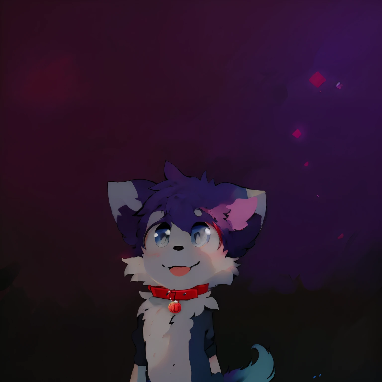 cute,boy,red collar,fluffy,