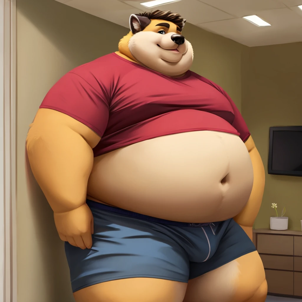 solo, male, obese, large belly, wearing cropped t-shirt, wearing boxers, indoors