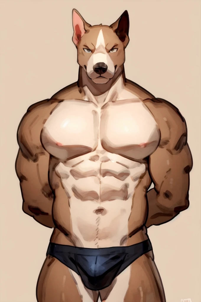 Solo, Furry, Anthro, Pitbull, Male, E621, Standing, Muscular, Hands behind back, Wearing underwear, Plain background, Front view, Light skin tone, By buta99