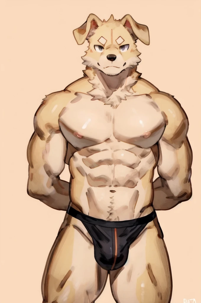 Solo, Furry, Anthro, Golden retriever, Male, E621, Standing, Muscular, Hands behind back, Wearing underwear, Plain background, Front view, Light skin tone, By buta99