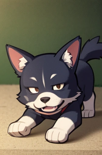a Dog
