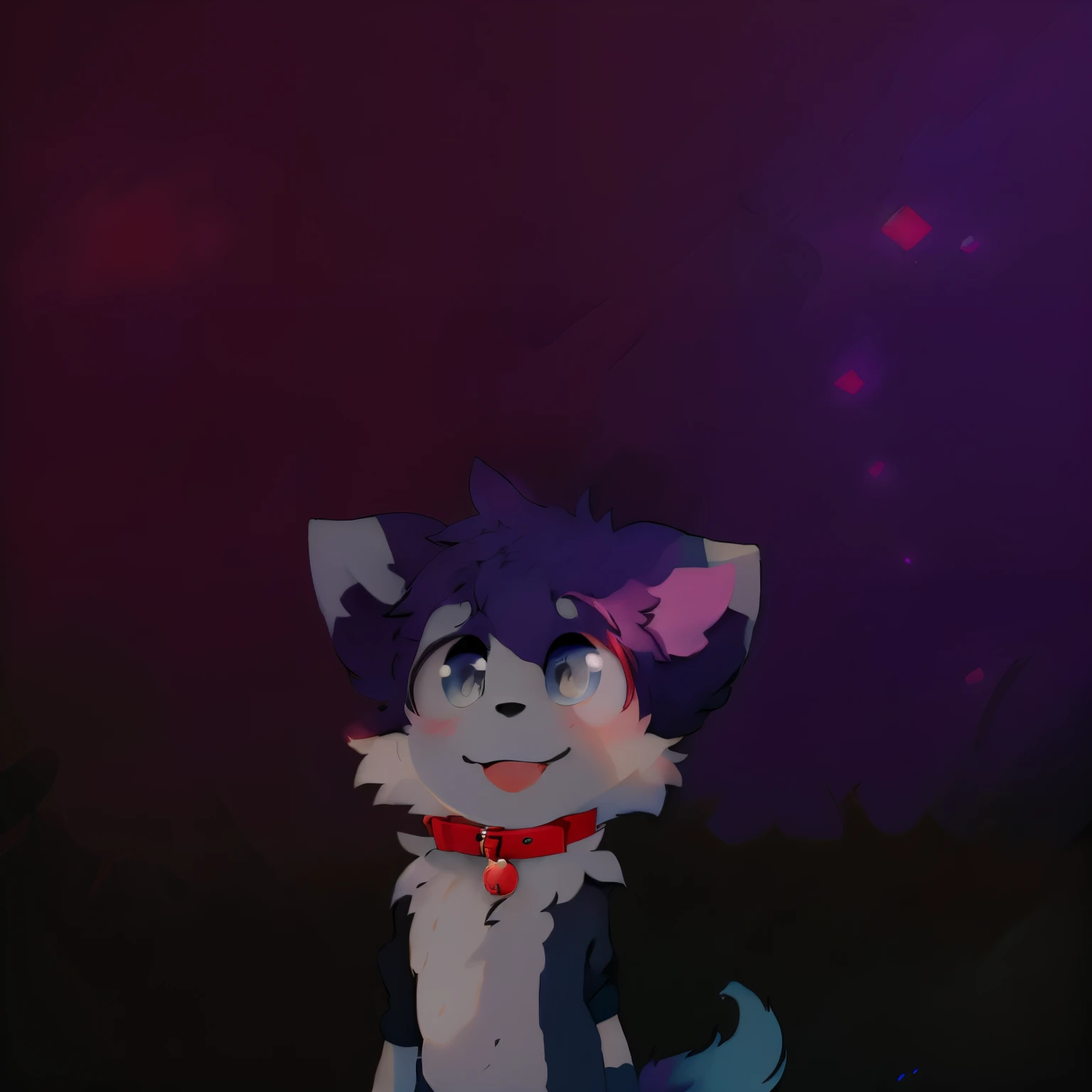 cute,boy,red collar,fluffy,