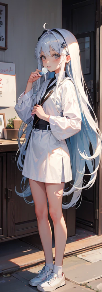 sliver long hair,比基尼,